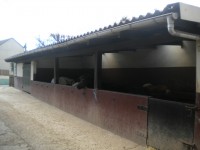 /album/mon-poney-club/dscn3143-jpg/